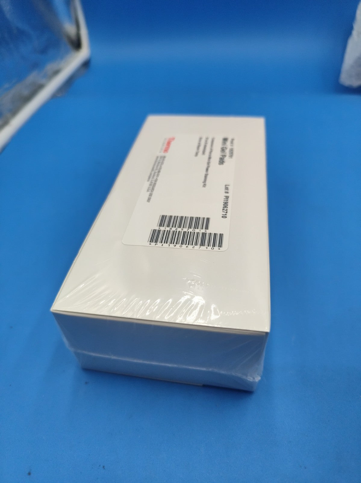 Thermo Scientific 1825701 Mini Gel Pads (30 Ct) for Pierce 22840 Staining Kit