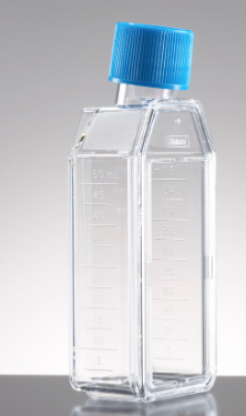 353108 Falcon 25cm2 Rectangular Canted Neck Cell Culture Flask with Vented Cap