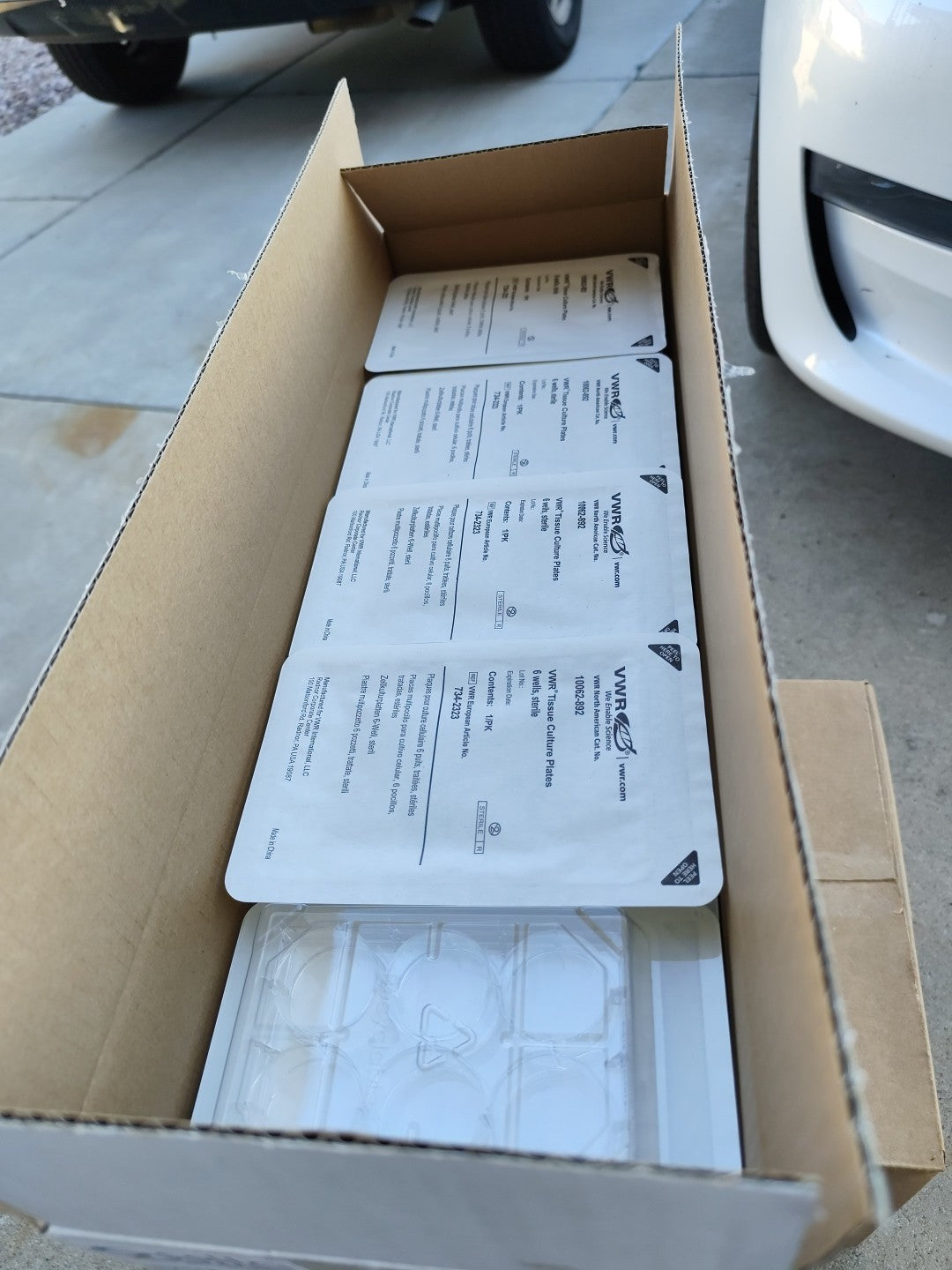 vwr 6 well plate tissue culture 10062-892 Cs50 Sterile Individually Wrapped 