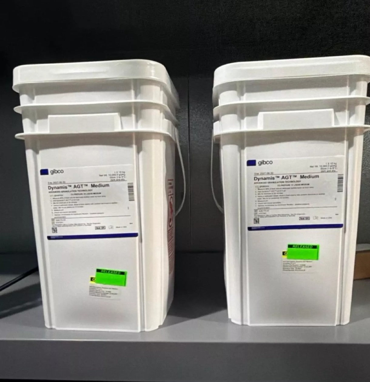Gibco Dynamics AGT Medium 10 Kg Powder Cold Cold Cold