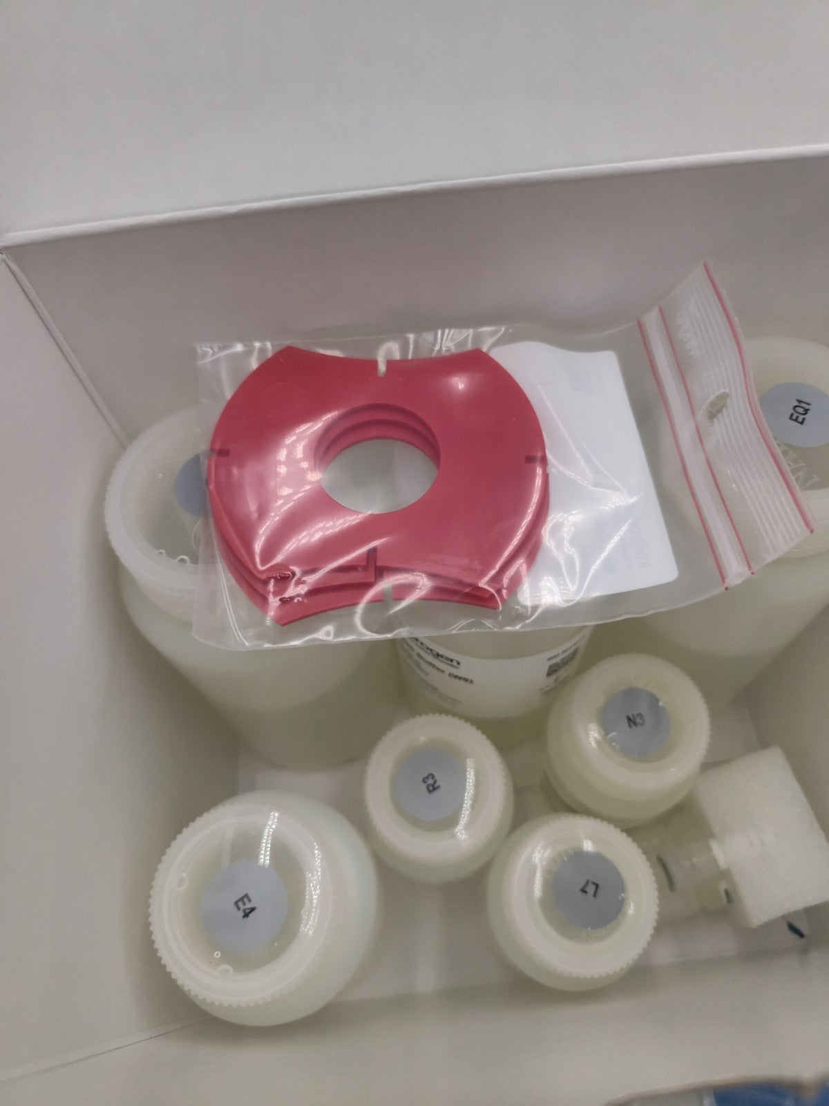 inviteogen purelink hipure plasmid maxiprep kit 10 Rxn