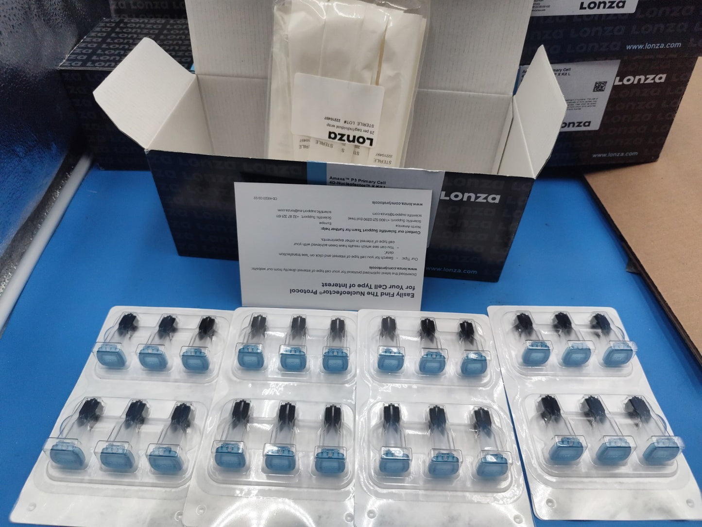 Lonza Amaxa P3 Primary Cell 4D-Nucleofector X Kit L  P/N V4XP-3024