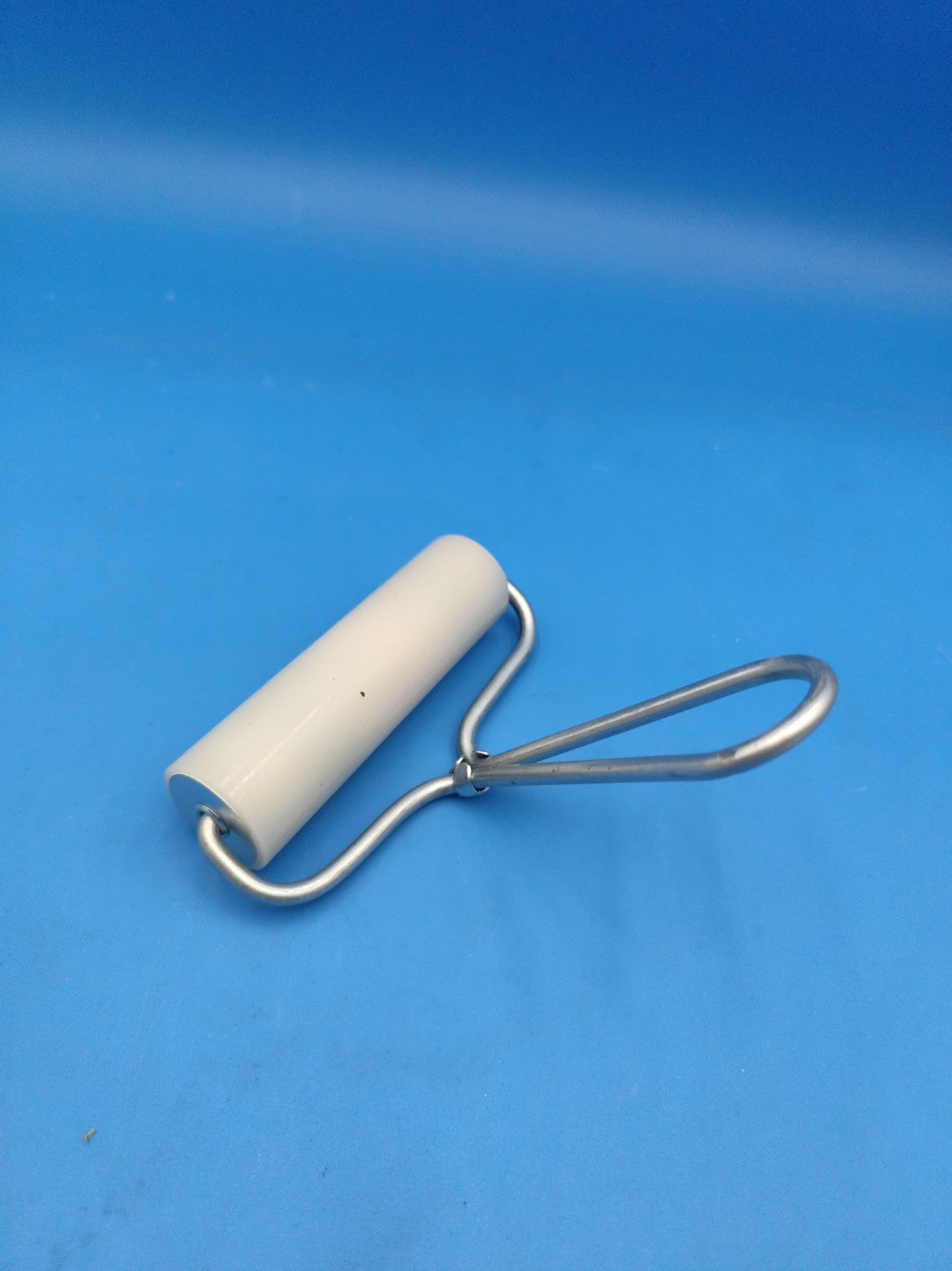Roller For Western Blot WB