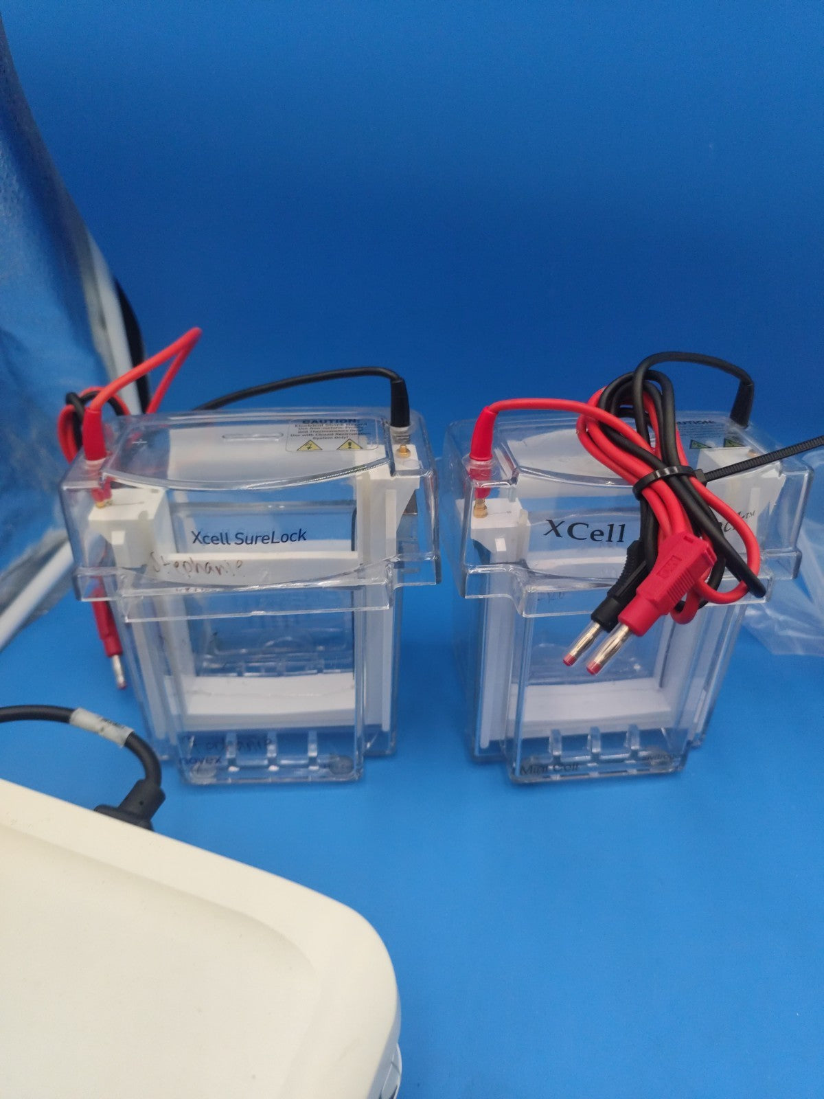 Invitrogen Protein Electrophoresis Gel Rig And Power Supply
