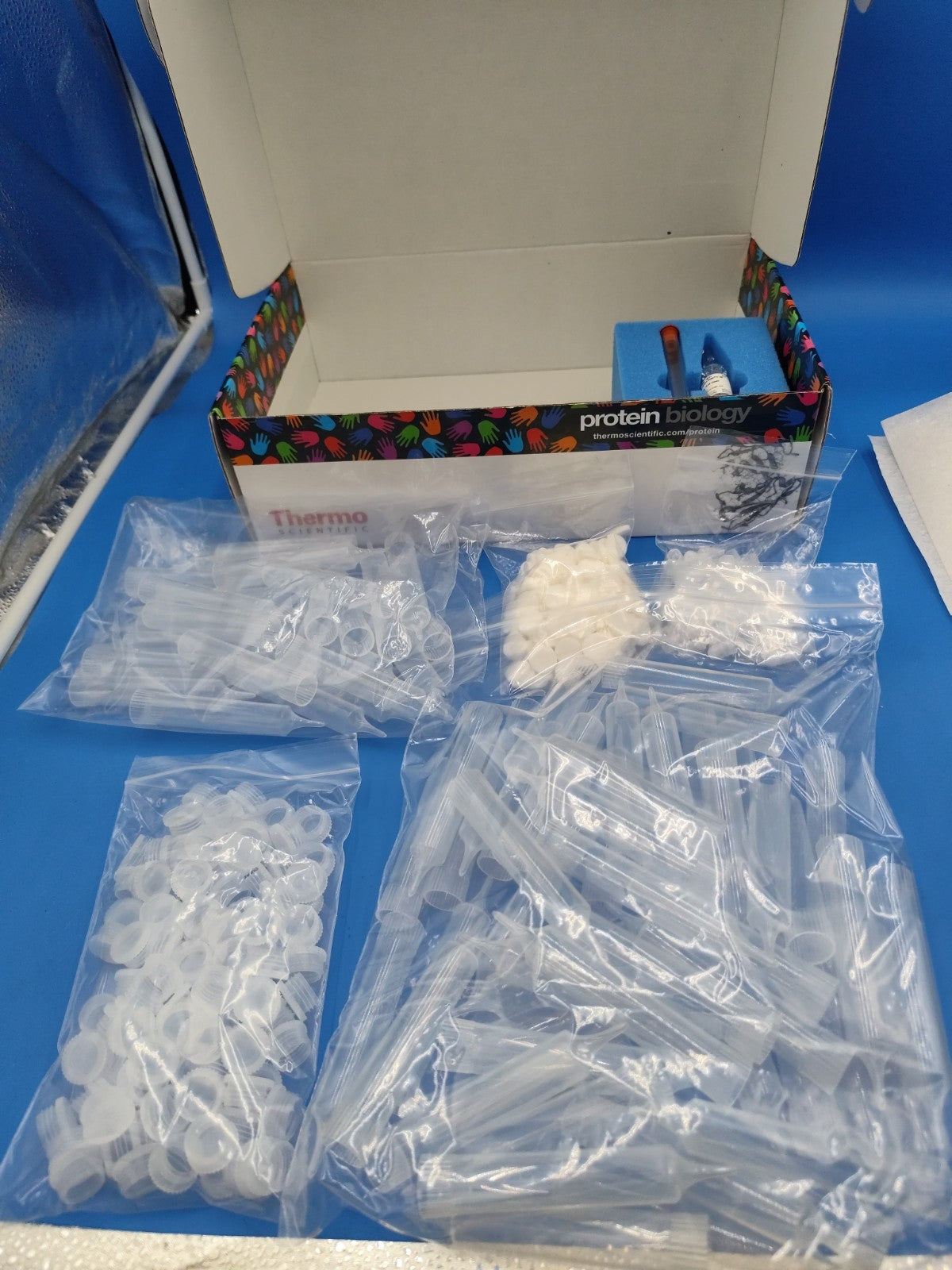 Thermo 29924 disposable column About 75 PCs
