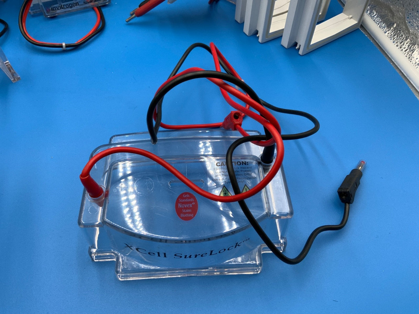 Xcell Surelock Novex Mini cell gel rig Biorad Mini Tetra Xcell4 many models