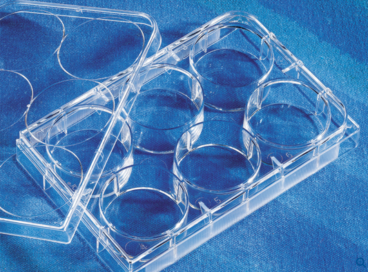 Corning Costar 6-well Clear TC-treated Cell Culture  Plate 3506 cs100 expi 2023