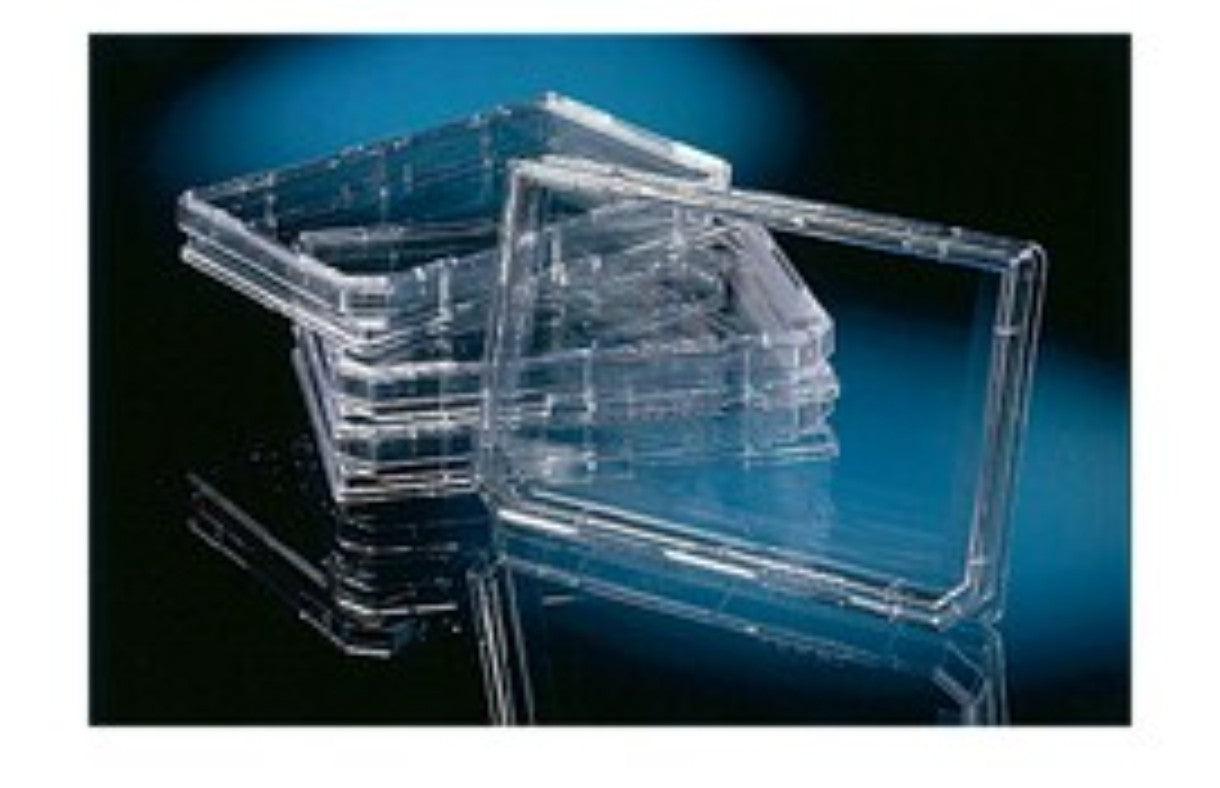 Thermo 165218 OmniTray Cell Culture Treated w Lid Case 60 
