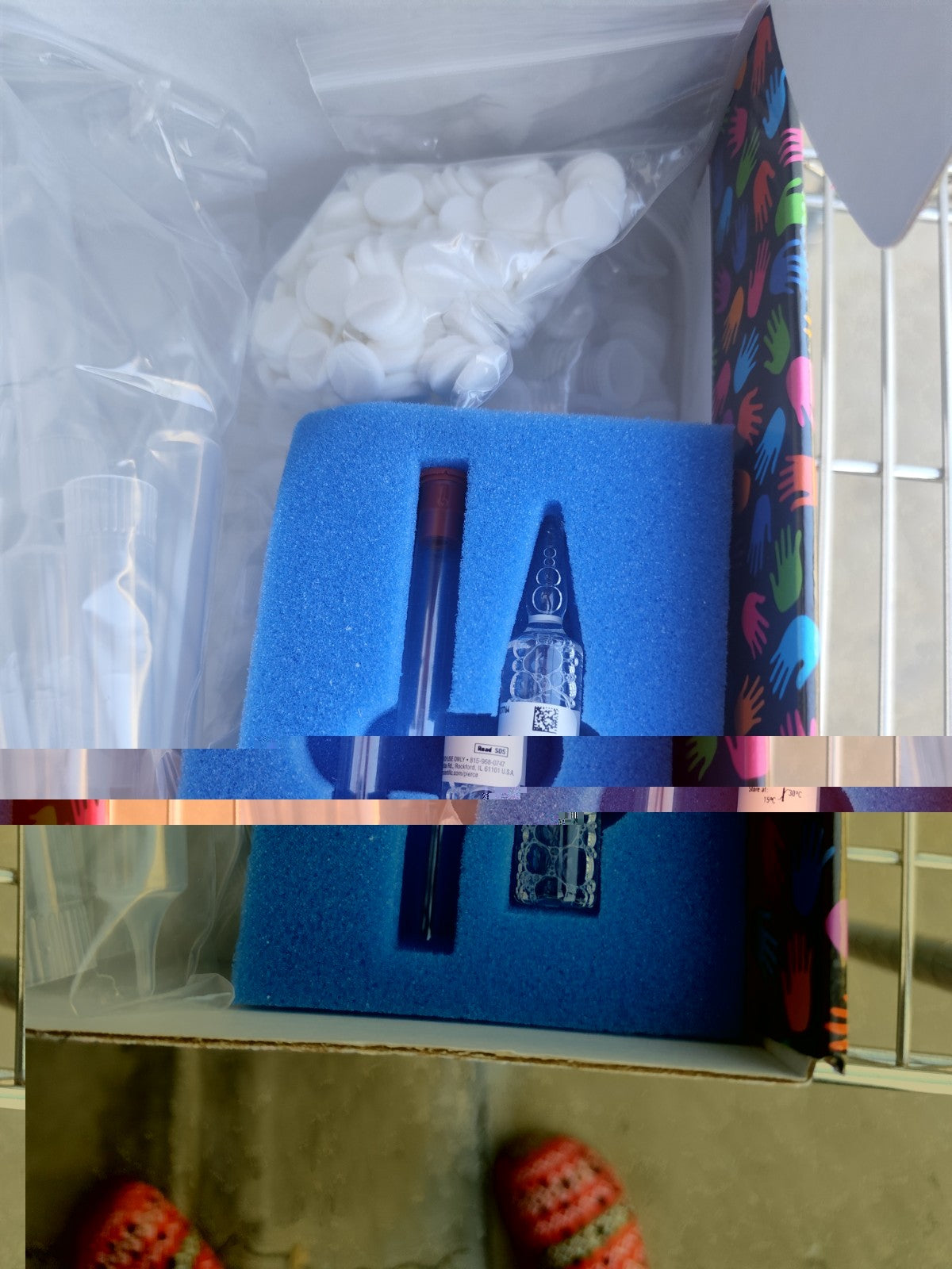 29924  Disposable 10 ml Polypropylene  Columns