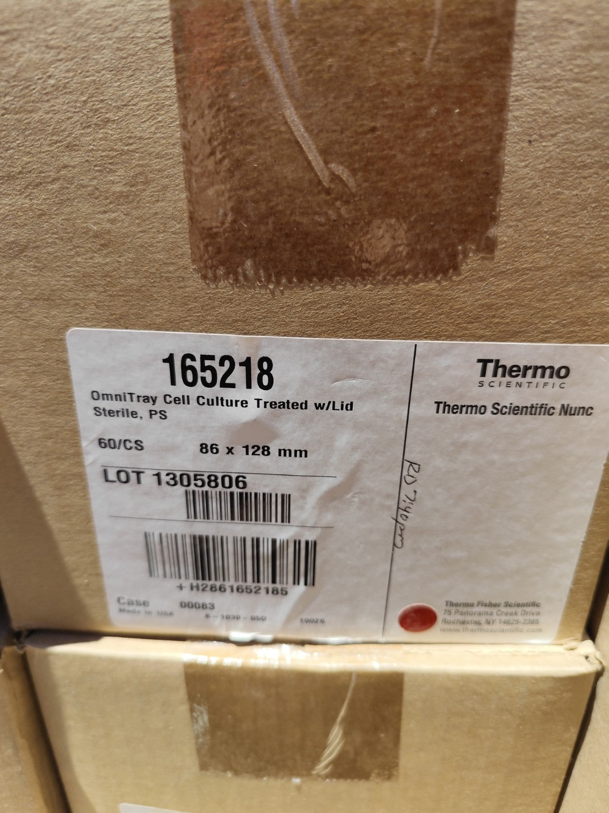 Thermo 165218 OmniTray Cell Culture Treated w Lid Case 60 