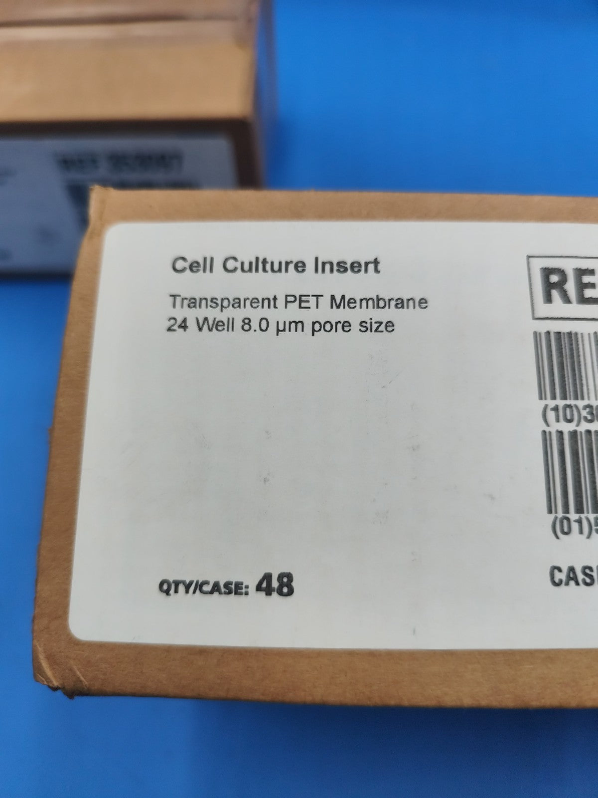 Falcon Cell Culture Insert 24 Well 8.0um - Corning 353097