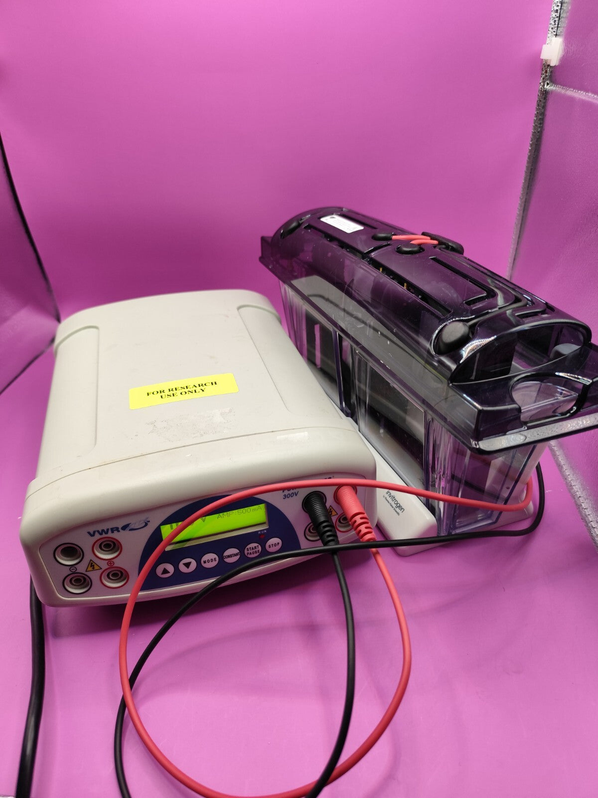 invitrogen mini gel tank with power source