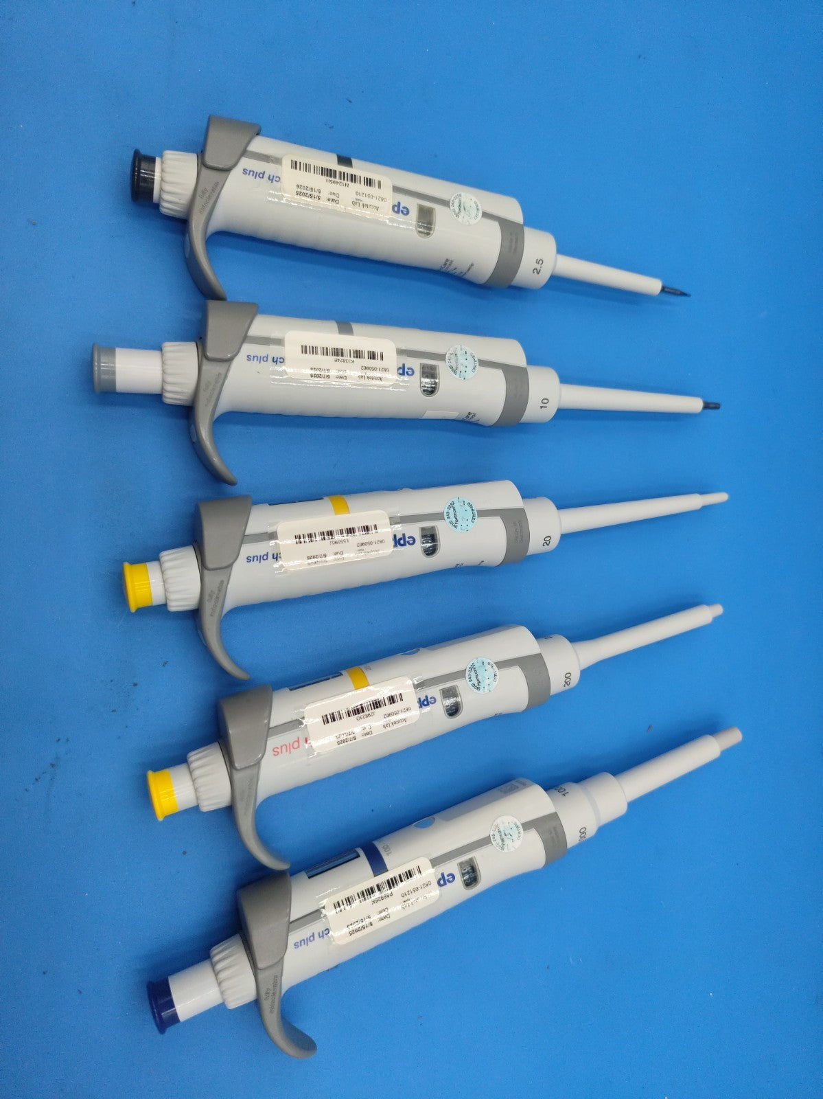 Eppendorf Research Plus Set Of 5 2.5 10 20 200 1000 ul Calibrated In 2025