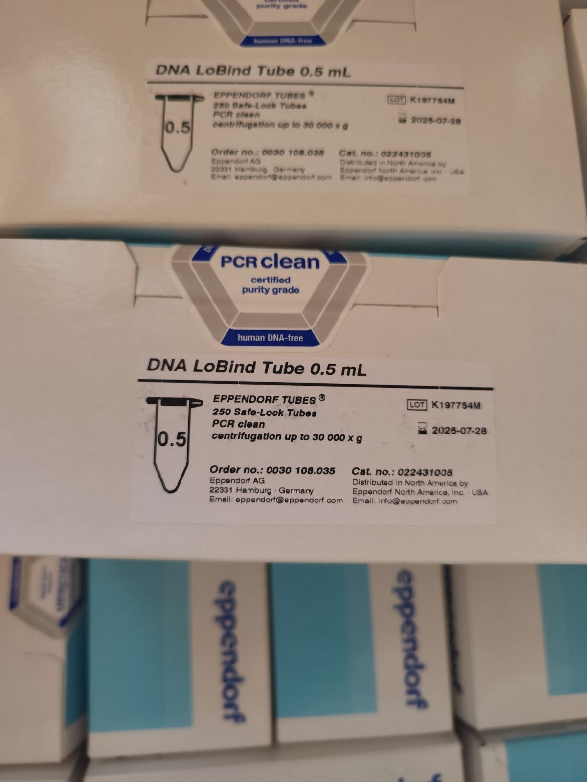 Eppendorf DNA Lobind Tubes 0.5ml Pk250