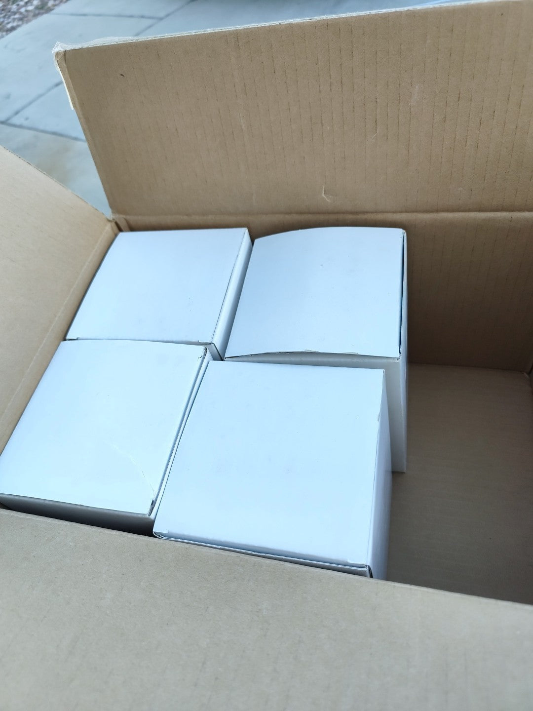 VWR 6.0 cm DISH CELL ATTACHMENT TREATED Open Case Of About 160 10861-658