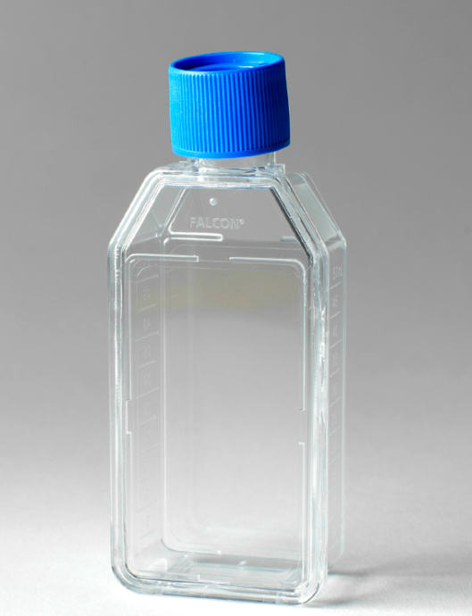 353108 Falcon 25cm2 Rectangular Canted Neck Cell Culture Flask with Vented Cap