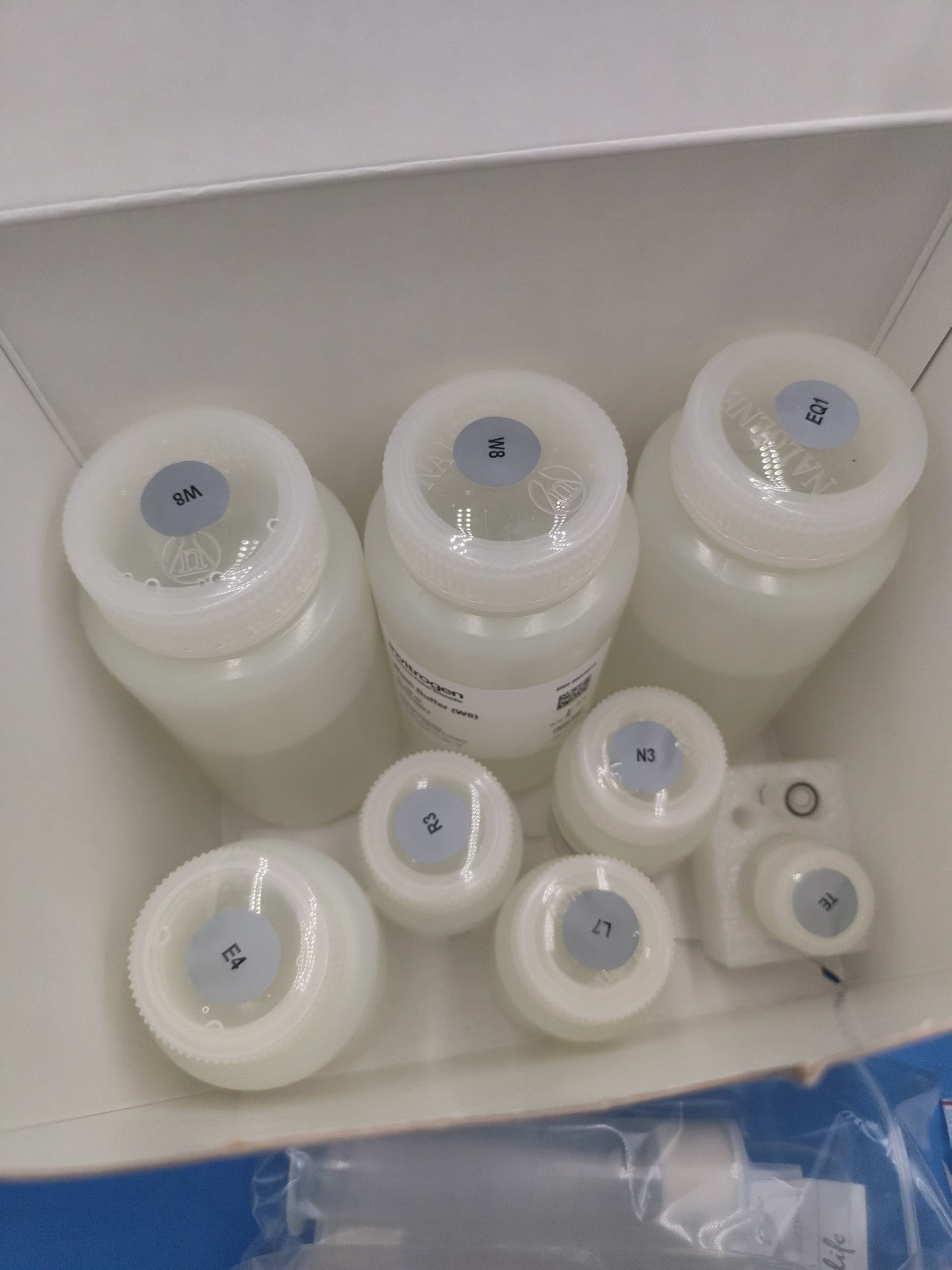 inviteogen purelink hipure plasmid maxiprep kit 10 Rxn