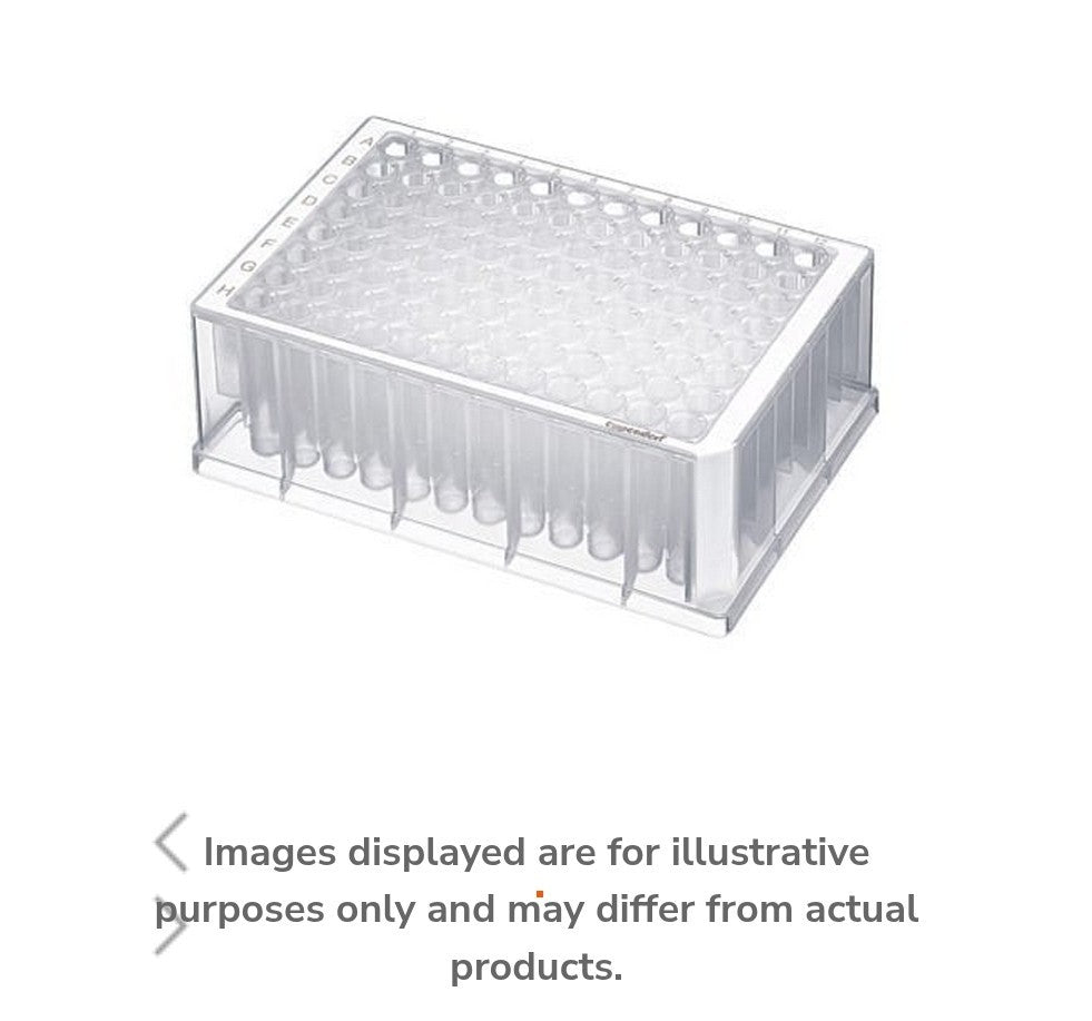 Eppendorf Deepwell Plate 1000ml Open Cs 70 Expi 2025 951033006