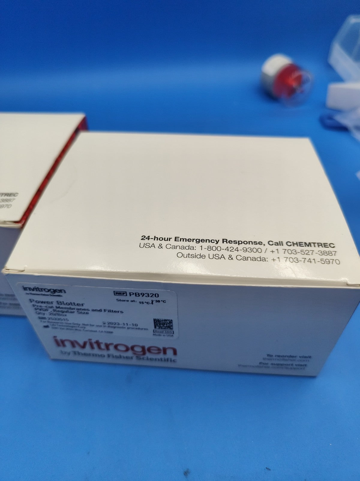 PB9320 (Invitrogen Power Blotter Pre-cut Membranes and Filters, PVDF Pk20