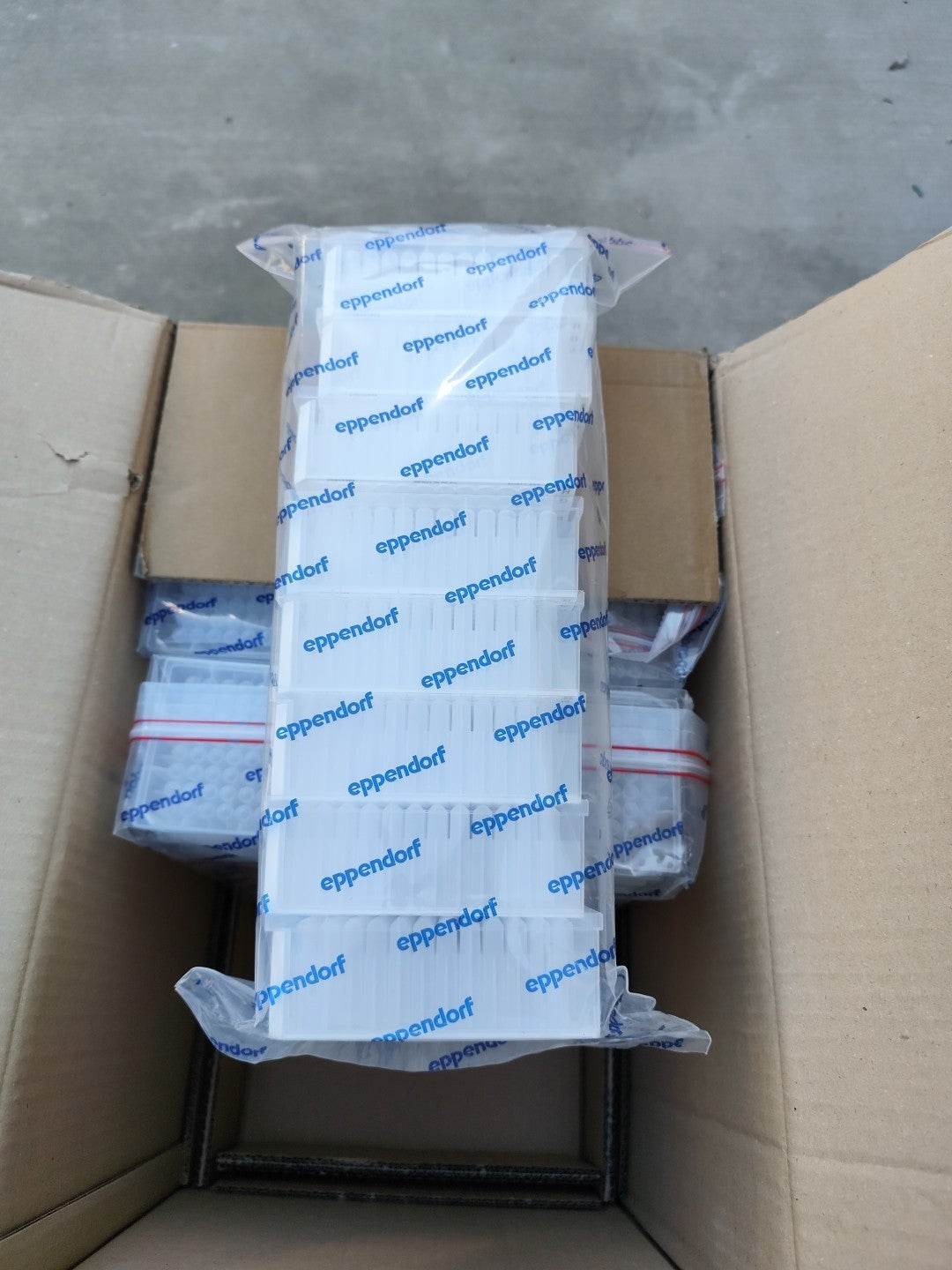Eppendorf Deepwell Plate 1000ml Open Cs 56 Expi 2026 951033201