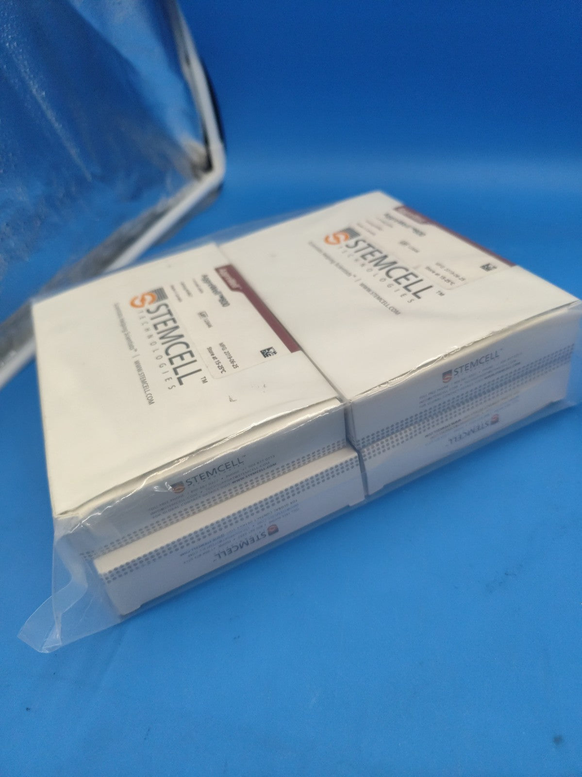 Set Of 4 STEMCELL Technologies AggreWell 800 6-well microwell culture plates 