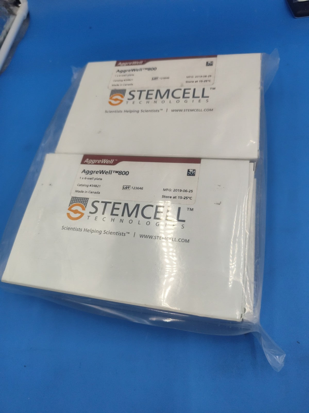 Set Of 4 STEMCELL Technologies AggreWell 800 6-well microwell culture plates 