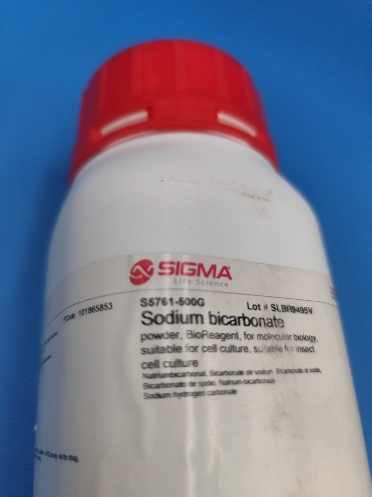 sodium bicarbonate s5761 Sigma Chemical New Full Container Sealed 500g