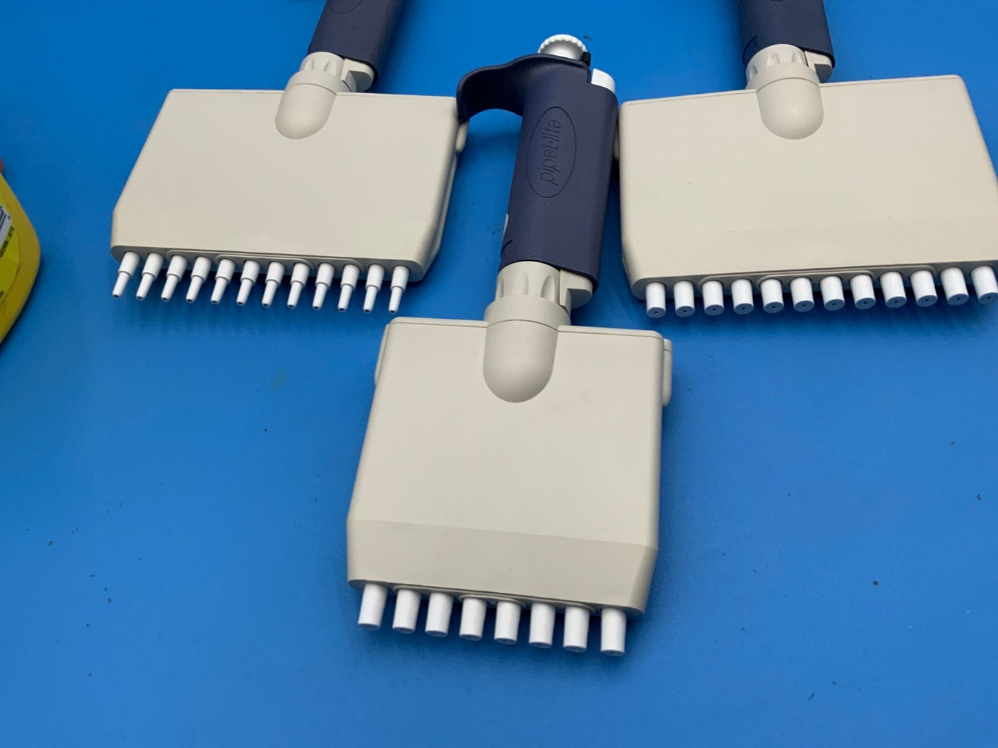 Rainin MultiChannel Pipette  12 Channel 20 ul 200 ul