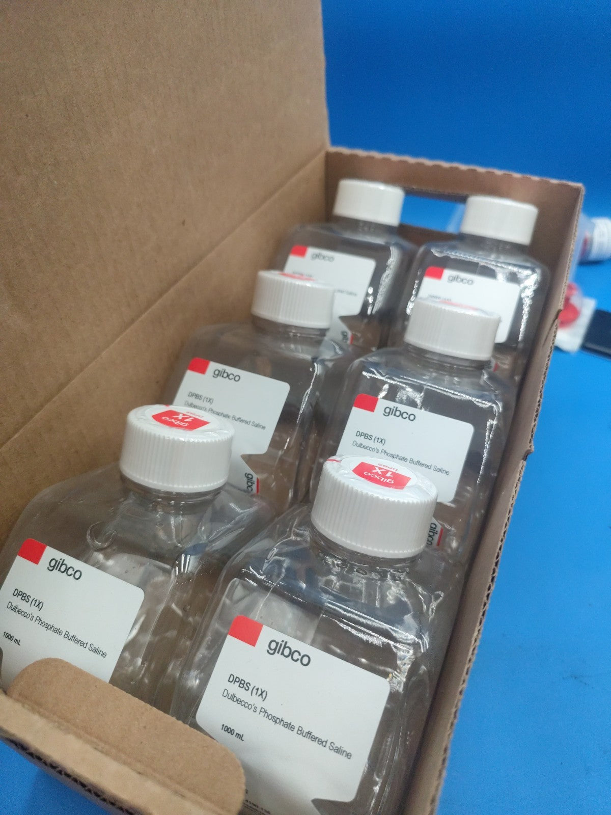 Gibco DPBS 6 Bottles Year 2021