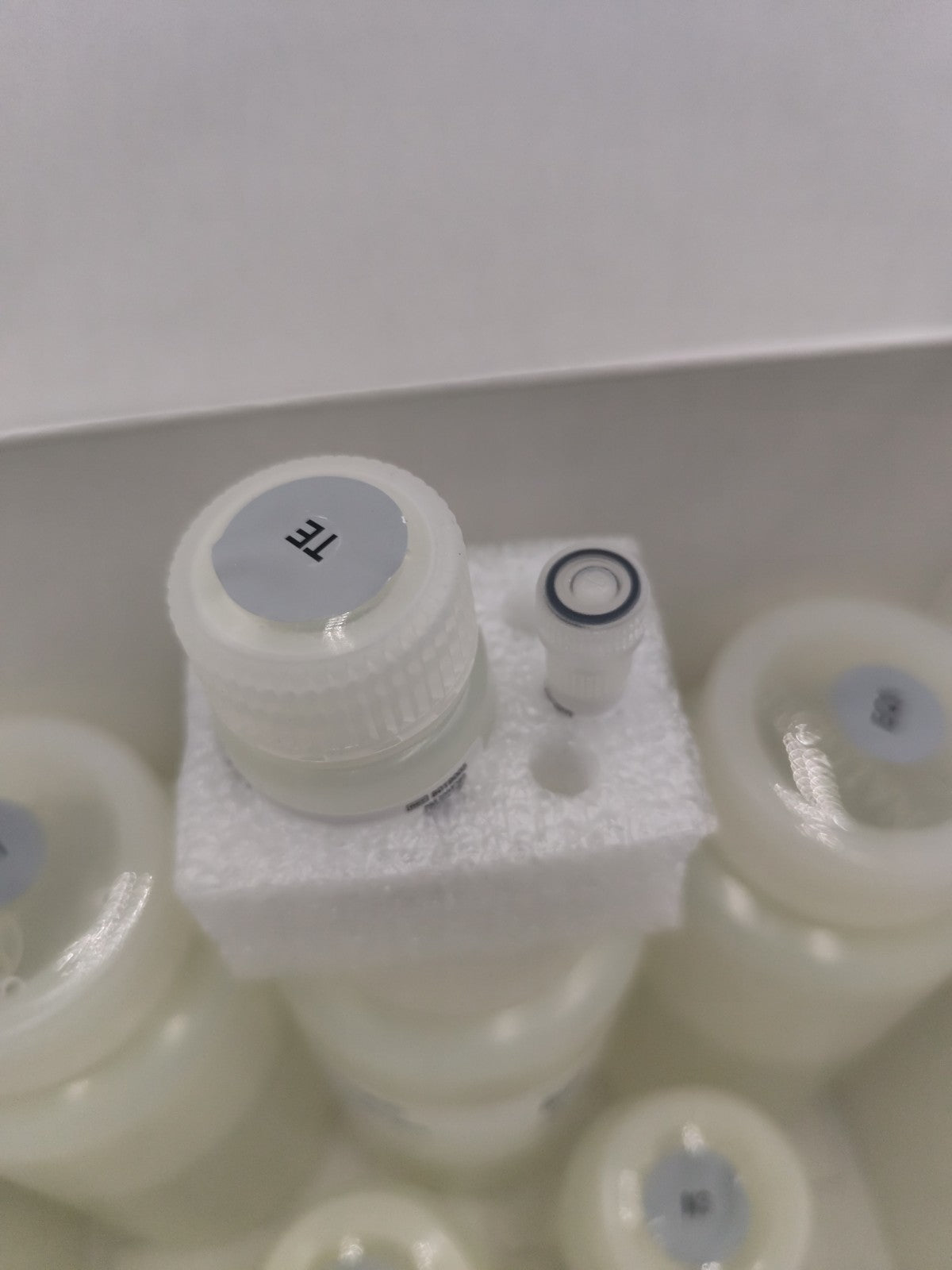 inviteogen purelink hipure plasmid maxiprep kit 10 Rxn