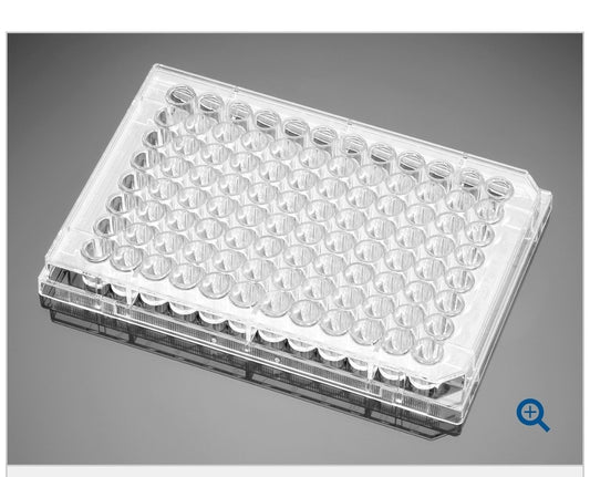 353072 Falcon Tissue Culture TC Plate 96 well Case Of 50