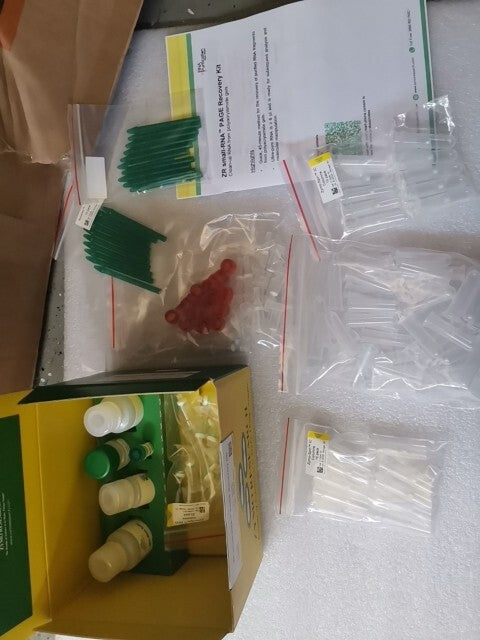 zymo research ZR small rna page recovery kit 20 Reactions
