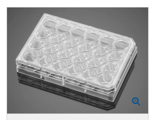 Falcon 353047 24-well Clear Flat Bottom TC-treated Tissue Culture Plate Cs 50