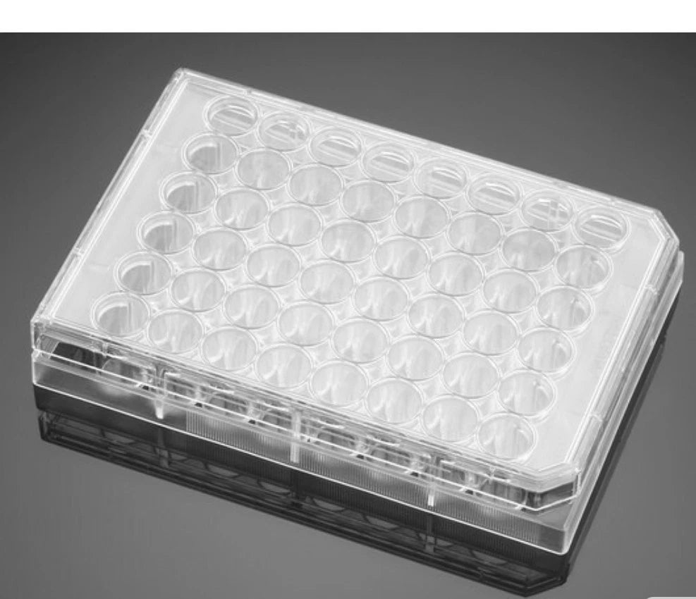 Falcon REF 353078 48-well Clear TC-treated Cell Culture Plate with Lid Case 50