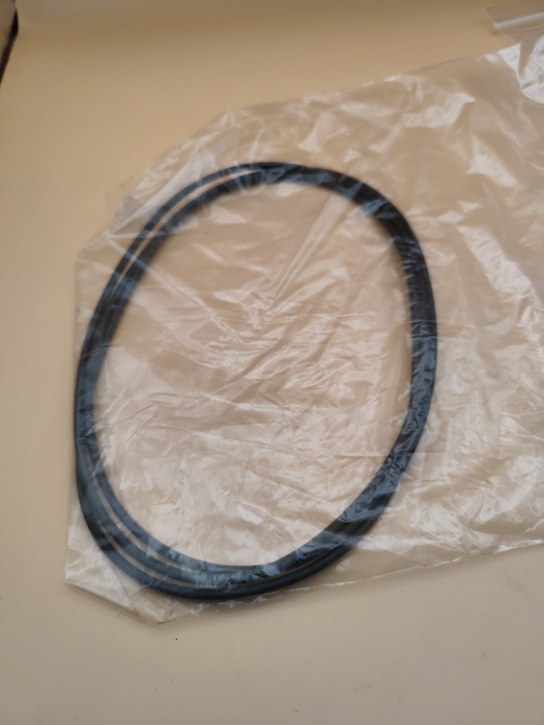 Thermo Scientific O Ring For SA600 Rotor Lid  Thermo Scientific 92744